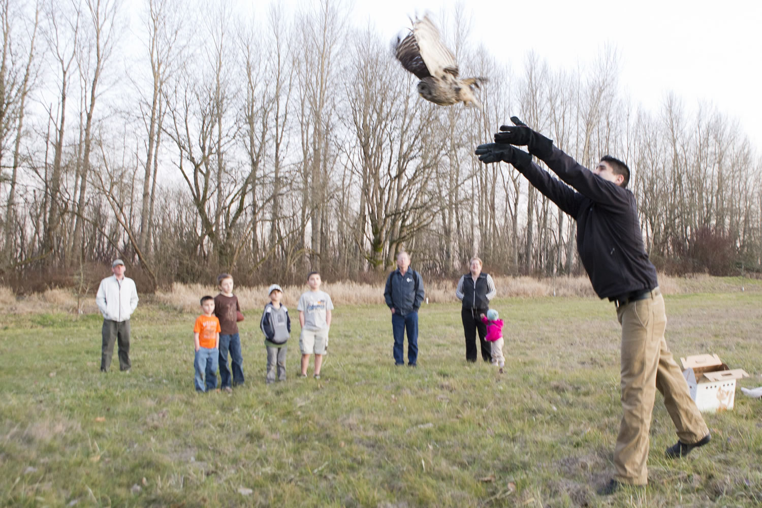 Jesse Serna of the Portland Audubon Society releases a barred owl Saturday near Vancouver Lake.