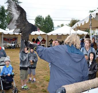 Ridgefield: A turkey vulture spreads its wings during BirdFest on Nov.