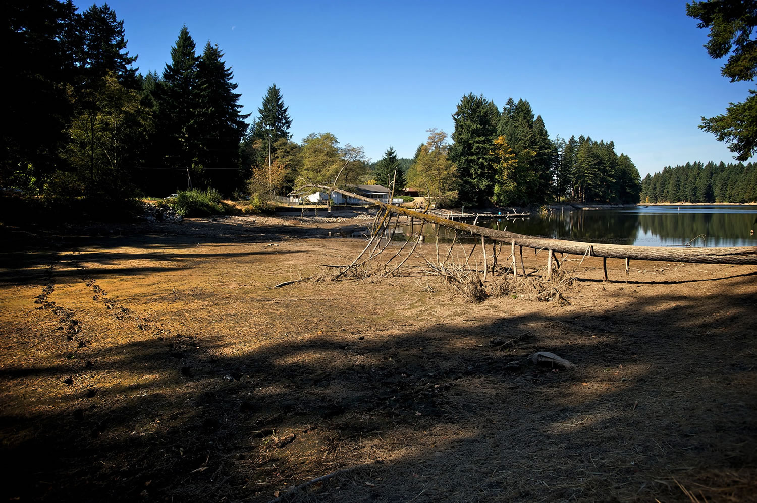 The water is low in Lacamas Lake on Monday.