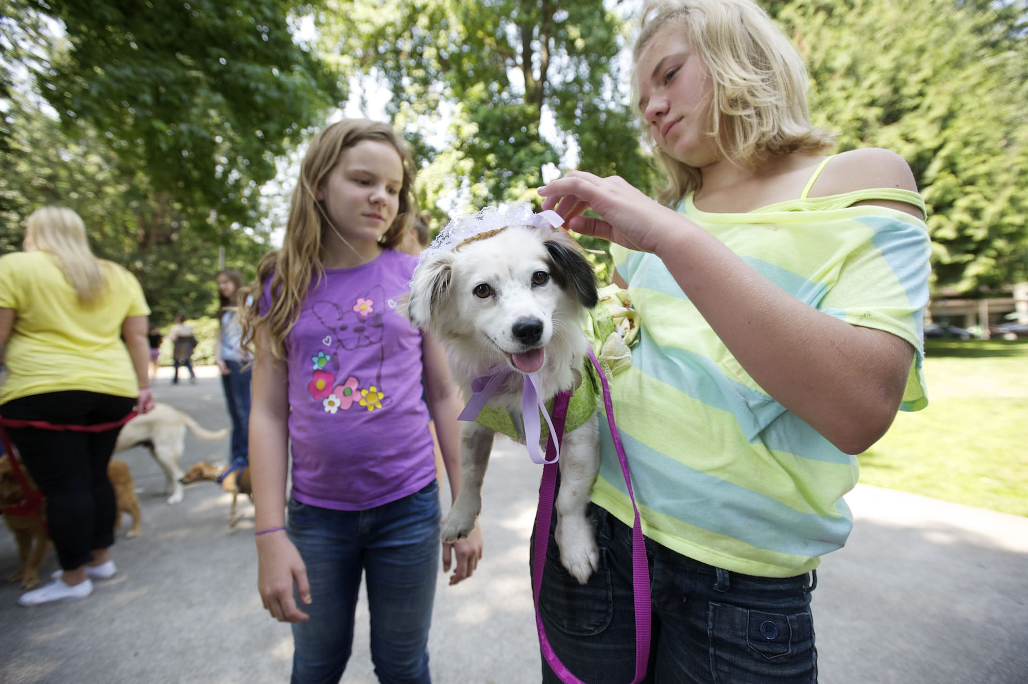 Foster dog Lulu gets gussied up for the dog parade by Madison Postles, 12, right, and her friend Gwyneth Hadfield, 11.