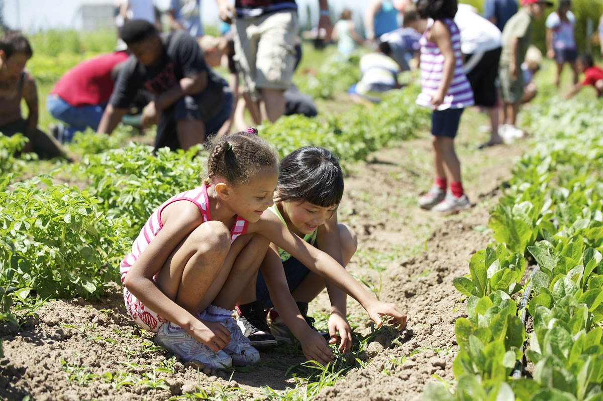 Alyssa Sandoval, 7, left, and Annalise Ramirez, 6, get their hands dirty and their brains stimulated Thursday while working at Clark County's 78th Street Heritage Farm as part of the At Home At School program.