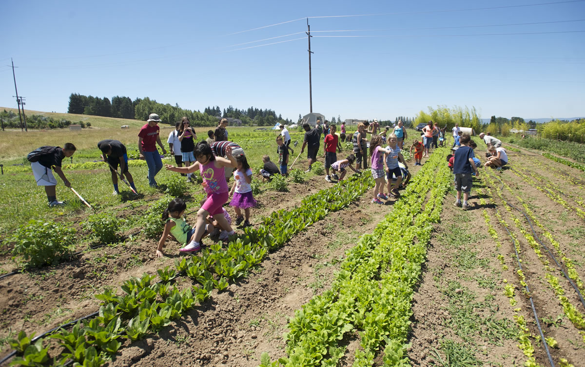 Children who have been homeless or impoverished often don't feel at home in regular classrooms; the At Home At School program strives to provide real-world educational experiences for them -- like planting and weeding at Clark County's 78th Street Heritage Farm.