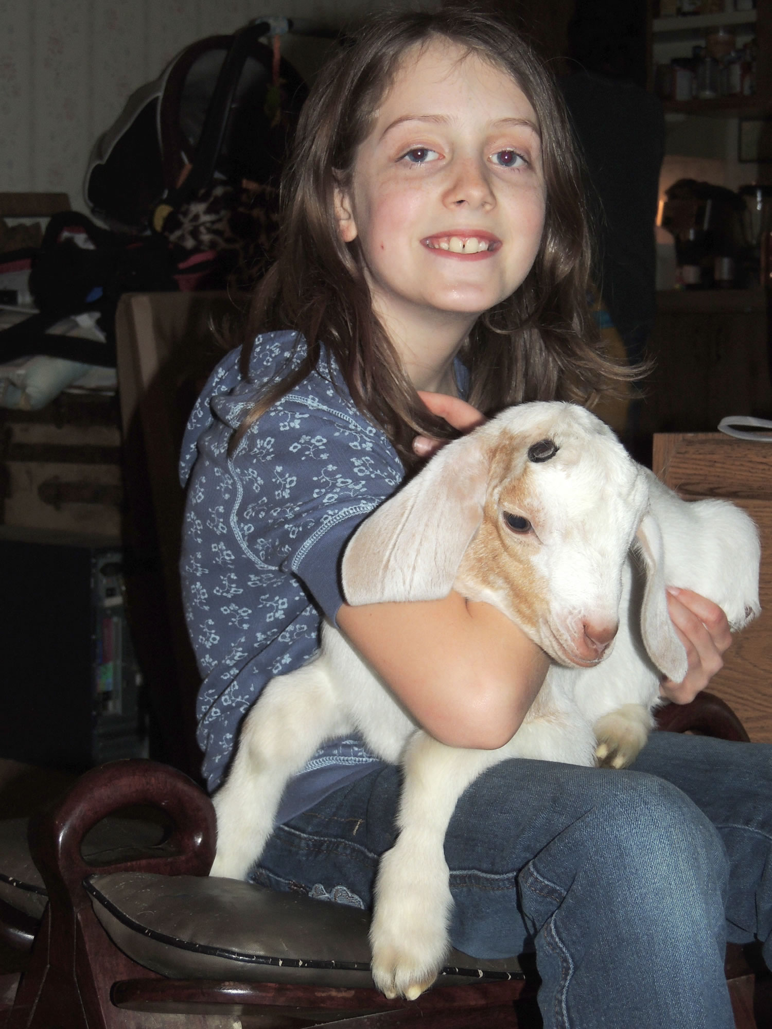 Photos courtesy Jolene Scott
Clark County 4-H member Zoey Scott, 8, holds her goat Creamy. The goat was found wandering free at the Scott family's Battle Ground-area property June 19. The other three goats Zoey and her family were raising could not be found. Mother Jolene Scott believes they were stolen. Creamy might have been left behind because, &quot;he is the annoying one that's harder to catch,&quot; Jolene Scott said.