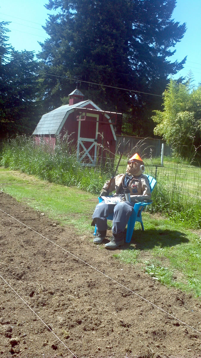 Ridgefield: For her new garden, Dolly Hanes, 79, created this scarecrow named &quot;Mr.