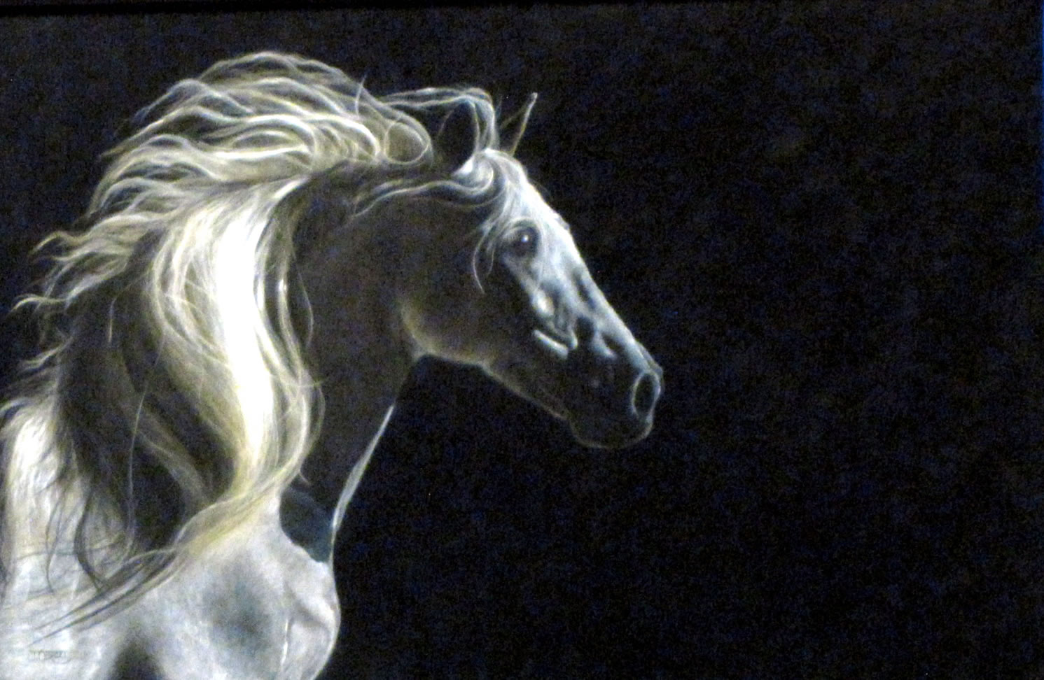 Hazel Dell: Winners of the Society of Washington Artists' recent show include &quot;Ghost&quot; by Julie Olsen.