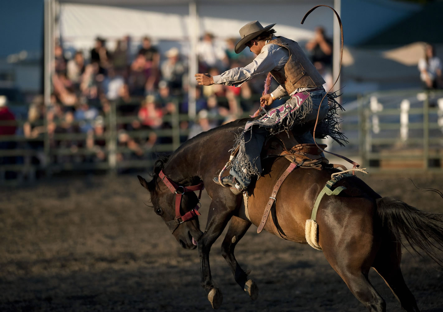 Photos by Zachary Kaufman/The Columbian
Trent Ezell, 19, of Emerson, Ore., gets his turn in the saddle bronc riding Saturday night at the Vancouver Rodeo. About 460 contestants competed over the rodeo's four-day run.