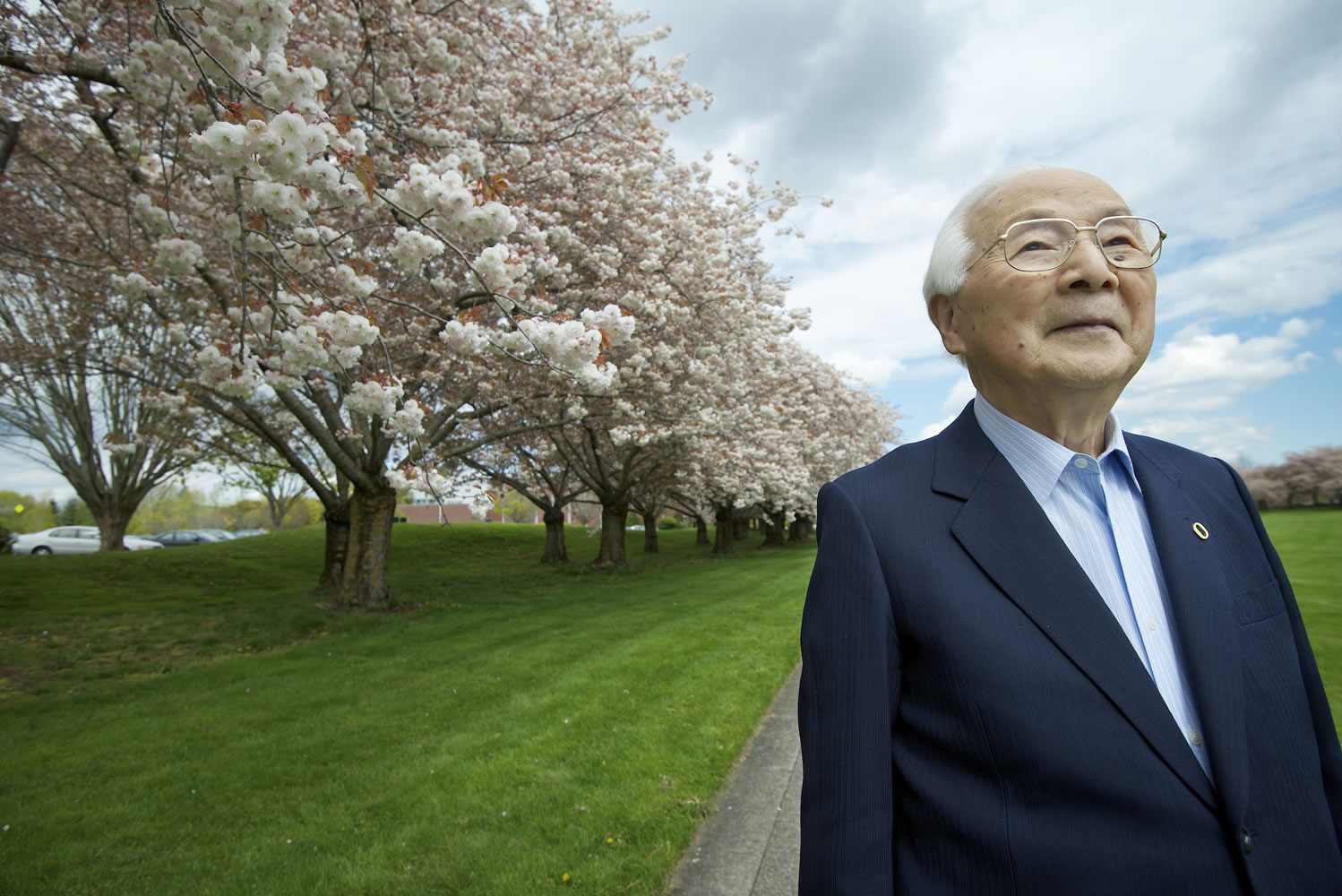 Atsushi &quot;John&quot; Kageyama, the first president of Matsushita Kotobuki Electronics Industries in Vancouver, visits the 100 Shirofugen cherry trees he donated to Clark College and Vancouver in 1990 Wednesday. He will be a guest of honor at today's Sakura Festival.