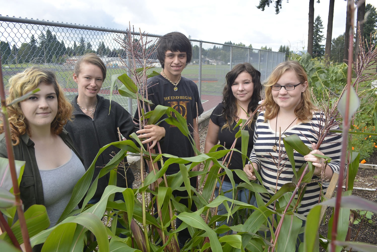 Washougal: Excelsior High School students Emily Head, from left, Qyuressa Zehner, Matt MacIntosh, Randee Schneider and Kayla Head get ready in mid-September to harvest the results of their efforts in the school's educational gardens.