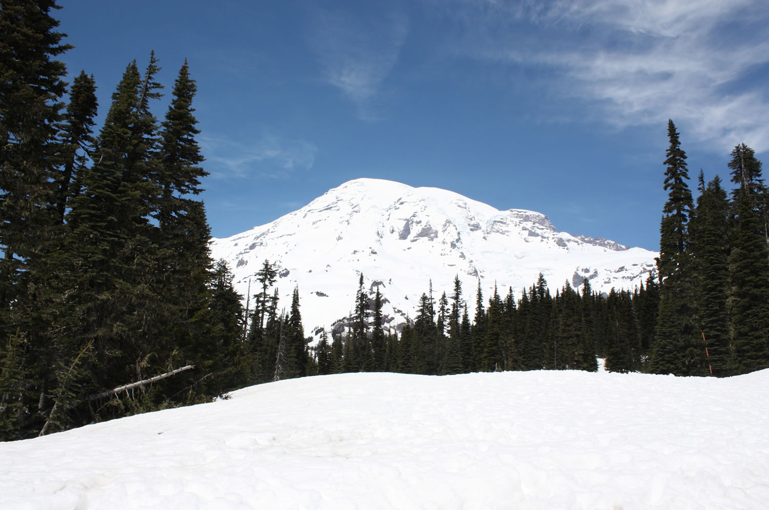 Mount Rainier in June.