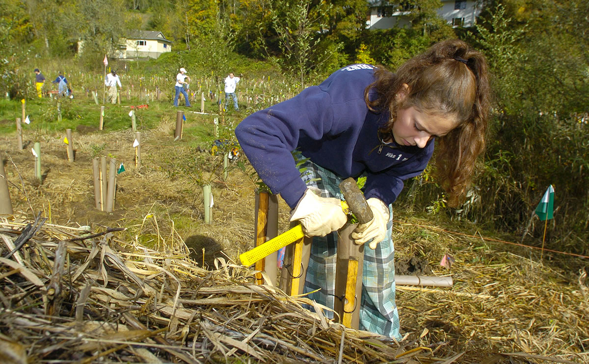 Brittany Thompson-Baxter, then 16 and a member of the Prairie High School ROTC, spent a Saturday morning in 2004 planting trees along Salmon Creek as part of Make a Difference Day.