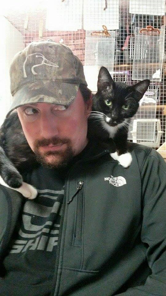 Walnut Grove: A cat sits on the shoulder of Furry Friends volunteer, Mike Campbell, who collected hundreds of pounds of dog and cat food for Furry Friends and Second Chance Companions.
