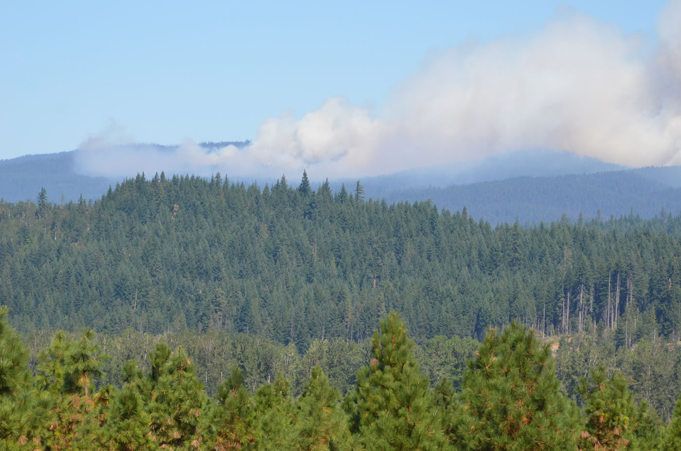Fire Sunday evening is burning more than 500 acres on the southern flank of Mount Adams.