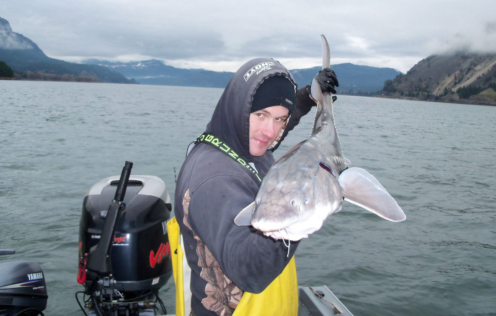 Guide Paul Ambrose holds a sturgeon caught in the Bonneville pool of the Columbia River,