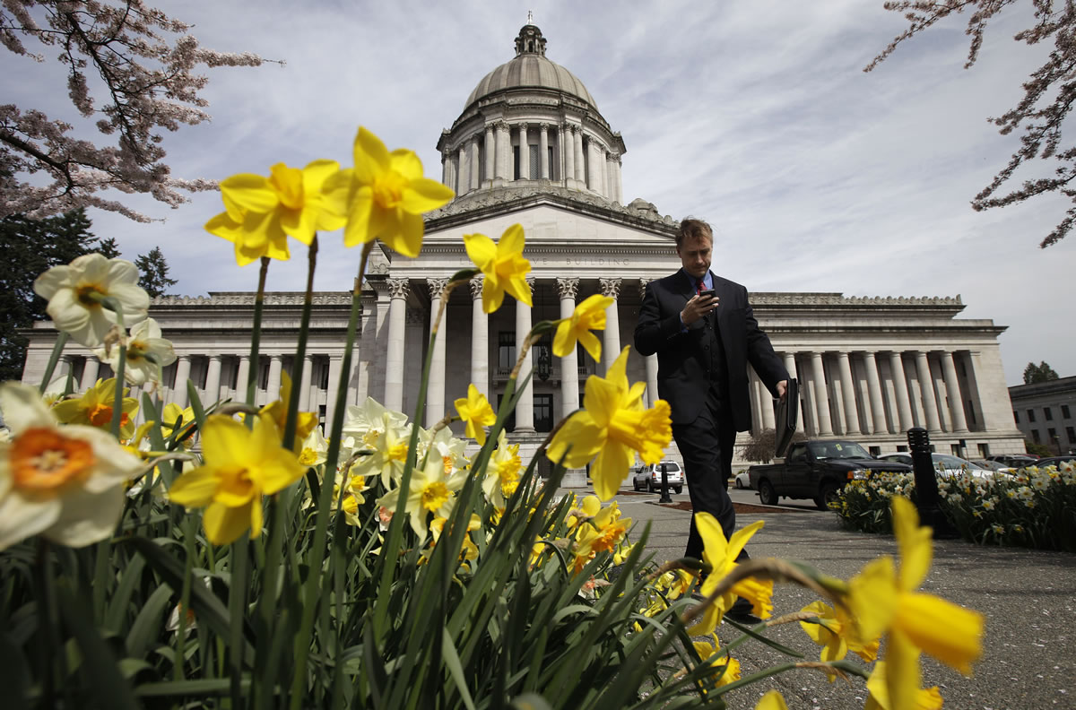 The Legislative Building at the Capitol in Olympia, Wash., is shown through as daffodils bloom, Tuesday, April 10, 2012.