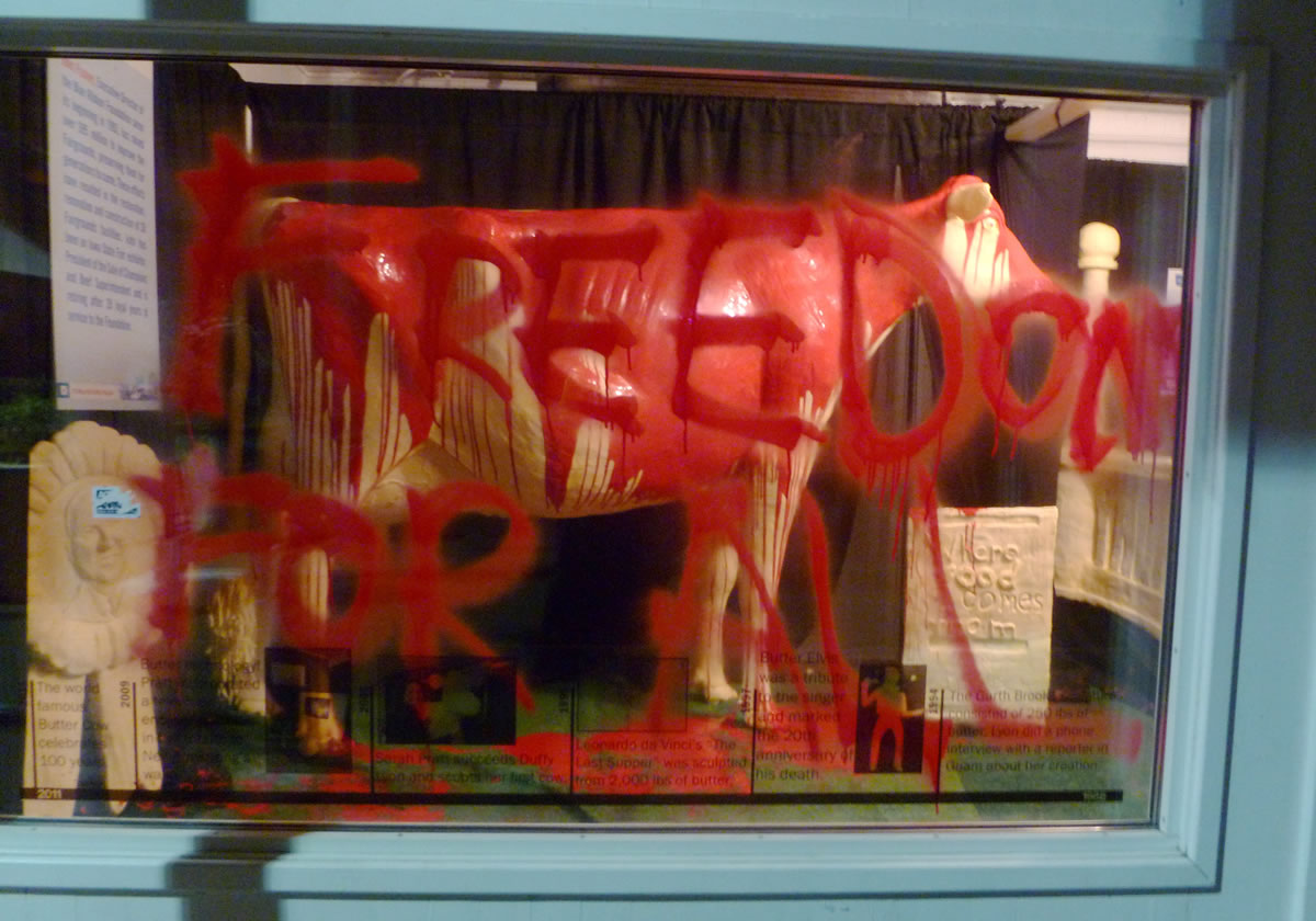 Authorities confirmed Monday that people had gained access to the Iowa Butter Cow display, poured red paint over the butter sculpture and scrawled &quot;Freedom for all&quot; on a display window.