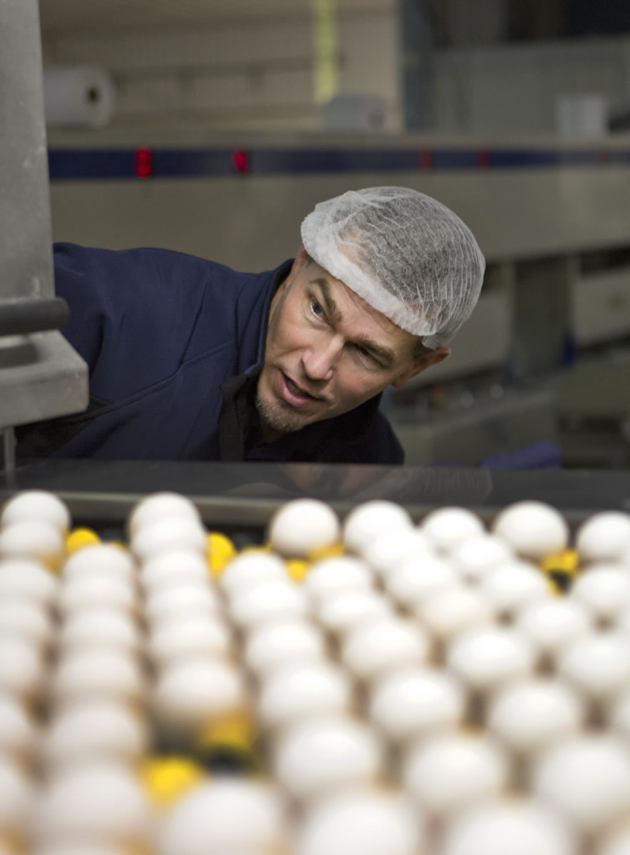 Greg Satrum, co-owner of Willamette Egg Farms in Canby, Ore. inspects the production line.
