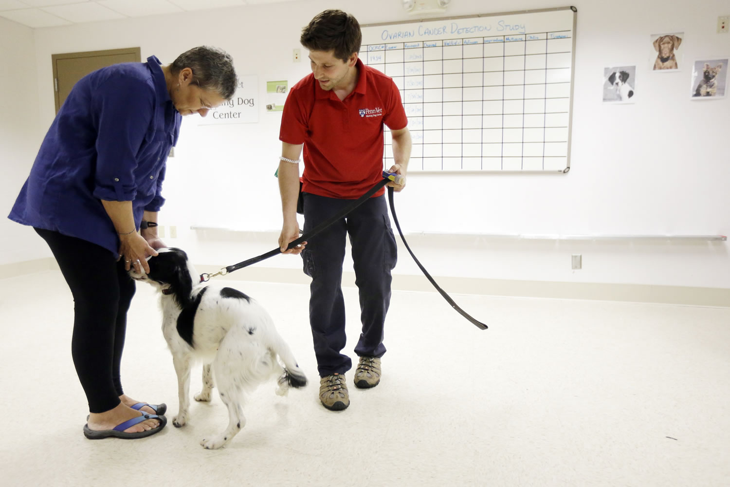 Jonathan Ball, right, introduces Marta Drexler, an ovarian cancer patient, to McBaine, who is in the first round of training for a study that will eventually involve detecting cancerous tissue at Penn Vet Working Dog Center in Philadelphia.