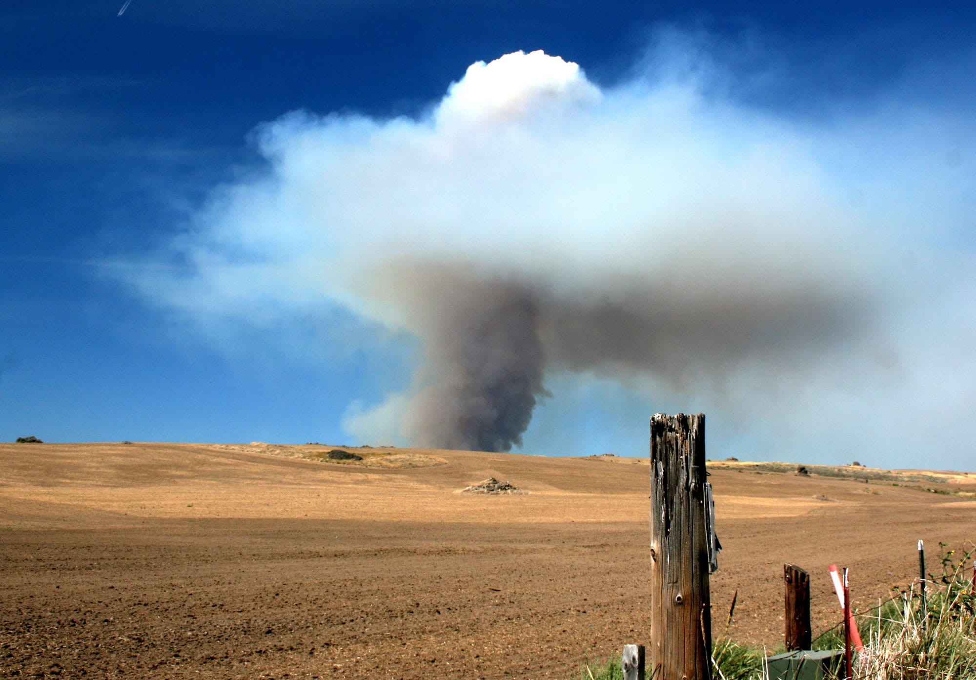 A cloud of smoke from the Antoine Creek Fire north of Chelan rises over a wheat field two miles east of the blaze on Sunday.