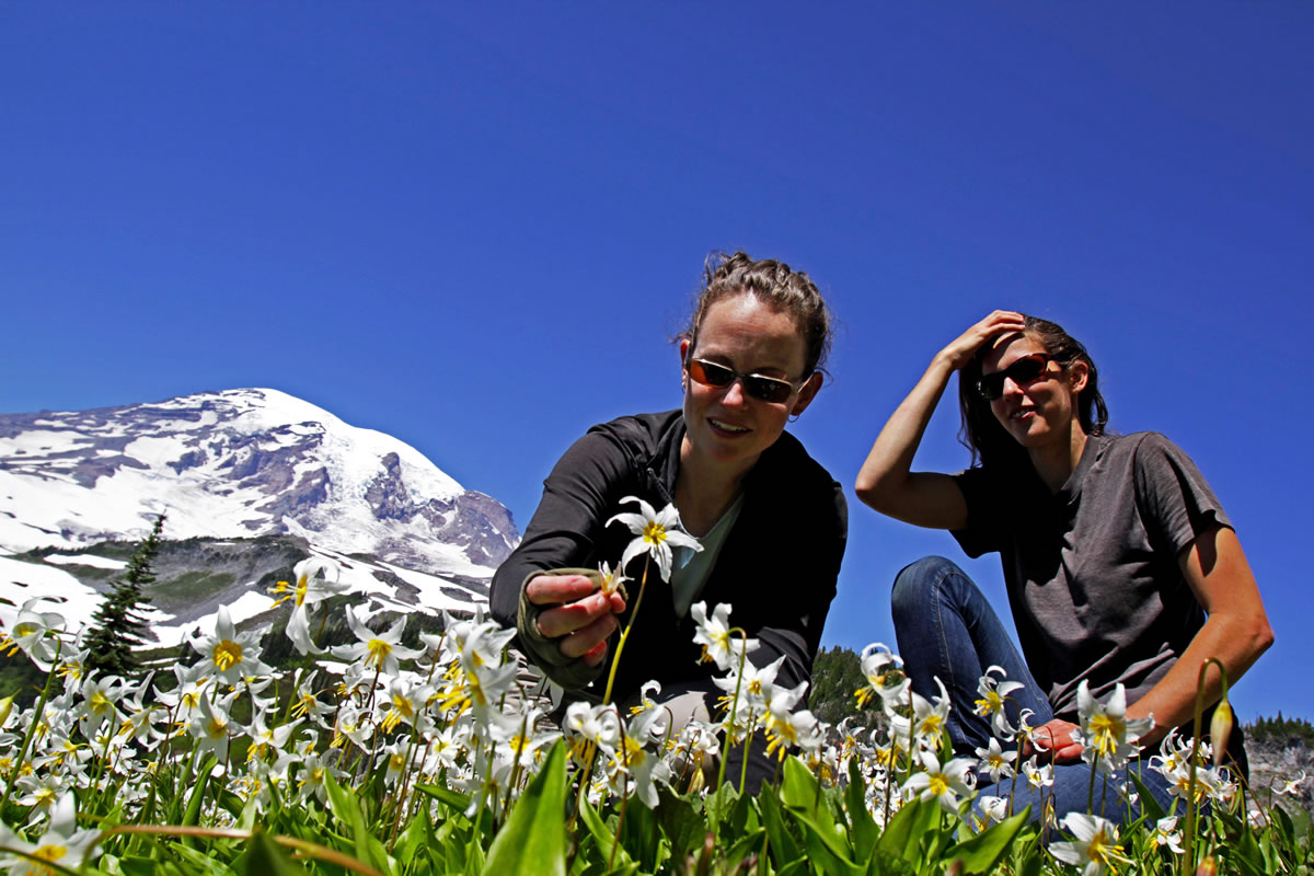 University of Washington researcher Elinore Theobald, left, and field assistant Natasha Lozanoff are studying avalanche lilies at different elevations on Mount Rainier.