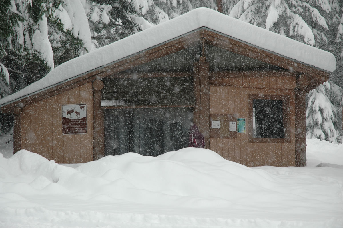 Several feet of snow has fallen in the past week at Lone Butte Sno-Park in the Gifford Pinchot National Forest.