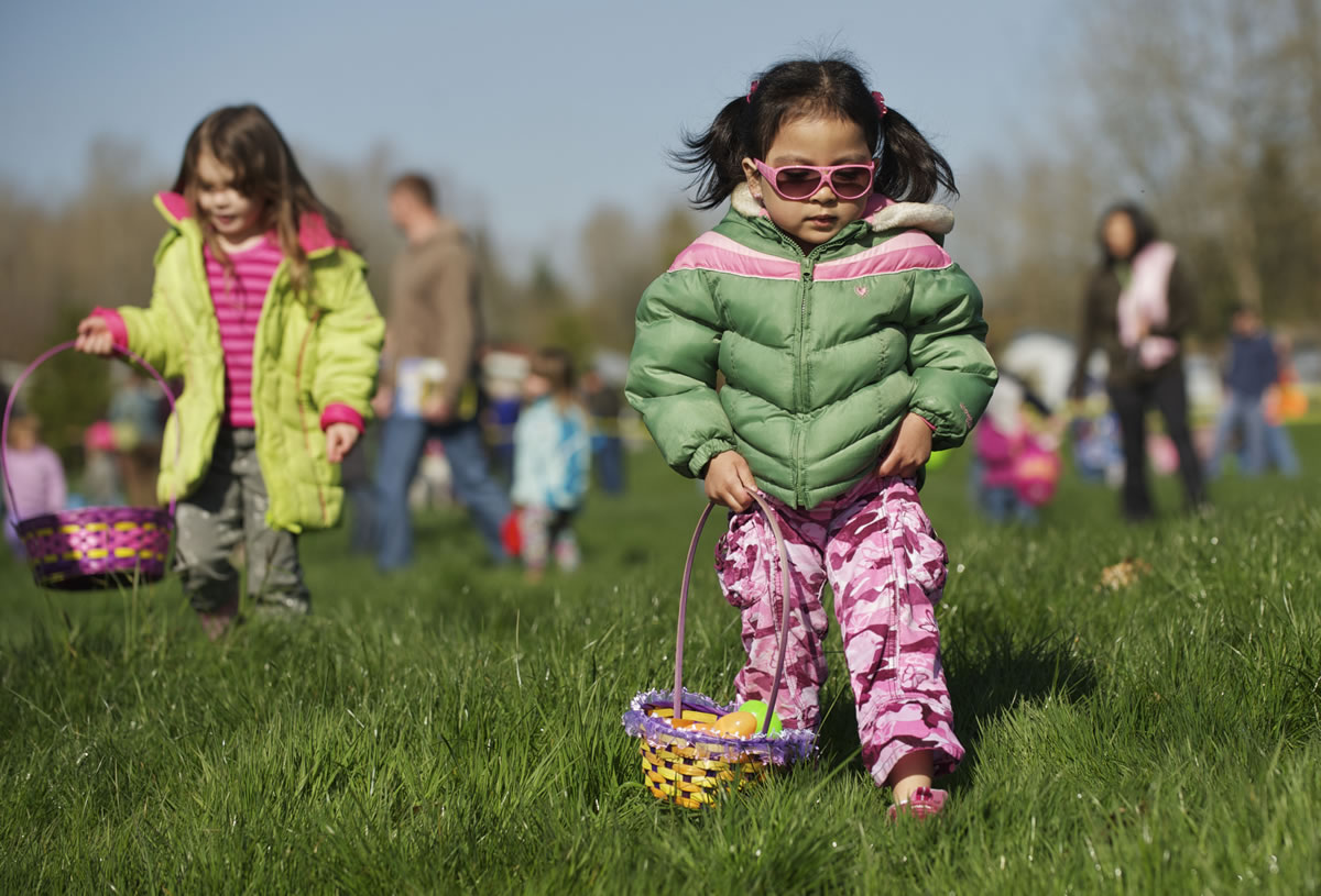Sara Sanchez, 4, from Brush Prairie, gathers eggs during an Easter egg hunt at Kiwanis Park in Battle Ground in 2012.