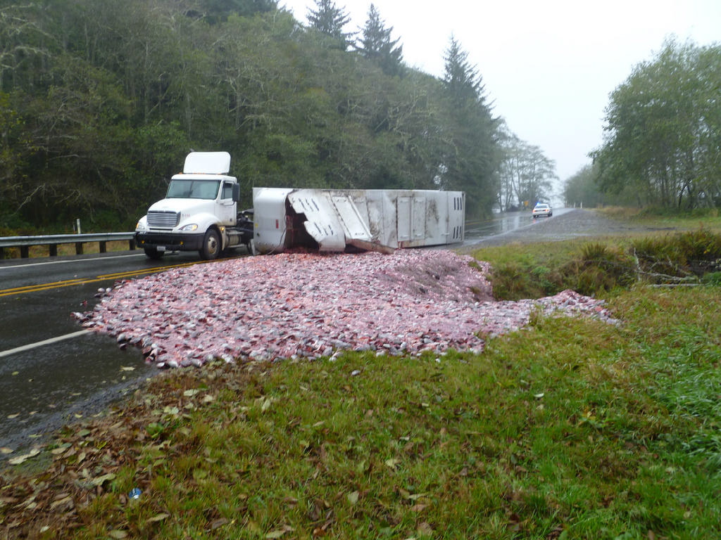 A load of salmon heads and guts lies along and next to U.S.