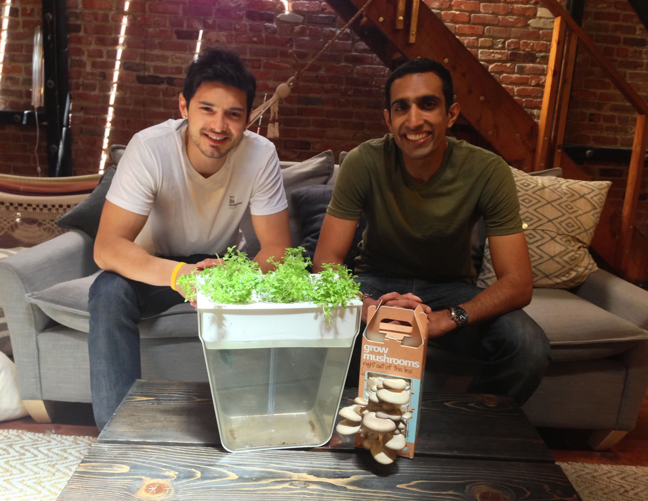 Back to the Roots founders Alejandro Velez, left, and Nikhil Arora started growing mushrooms on a whim in college.
