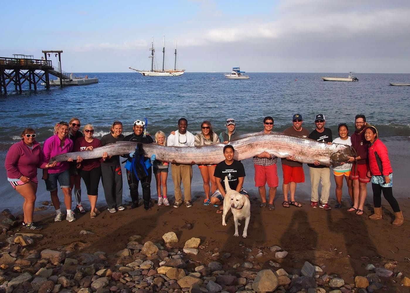 Catalina Island Marine Institute
The crew of a sailing school vessel and Catalina Island Marine Institute instructors hold an 18-foot-long oarfish that was found on Santa Catalina Island, Calif., on Sunday.