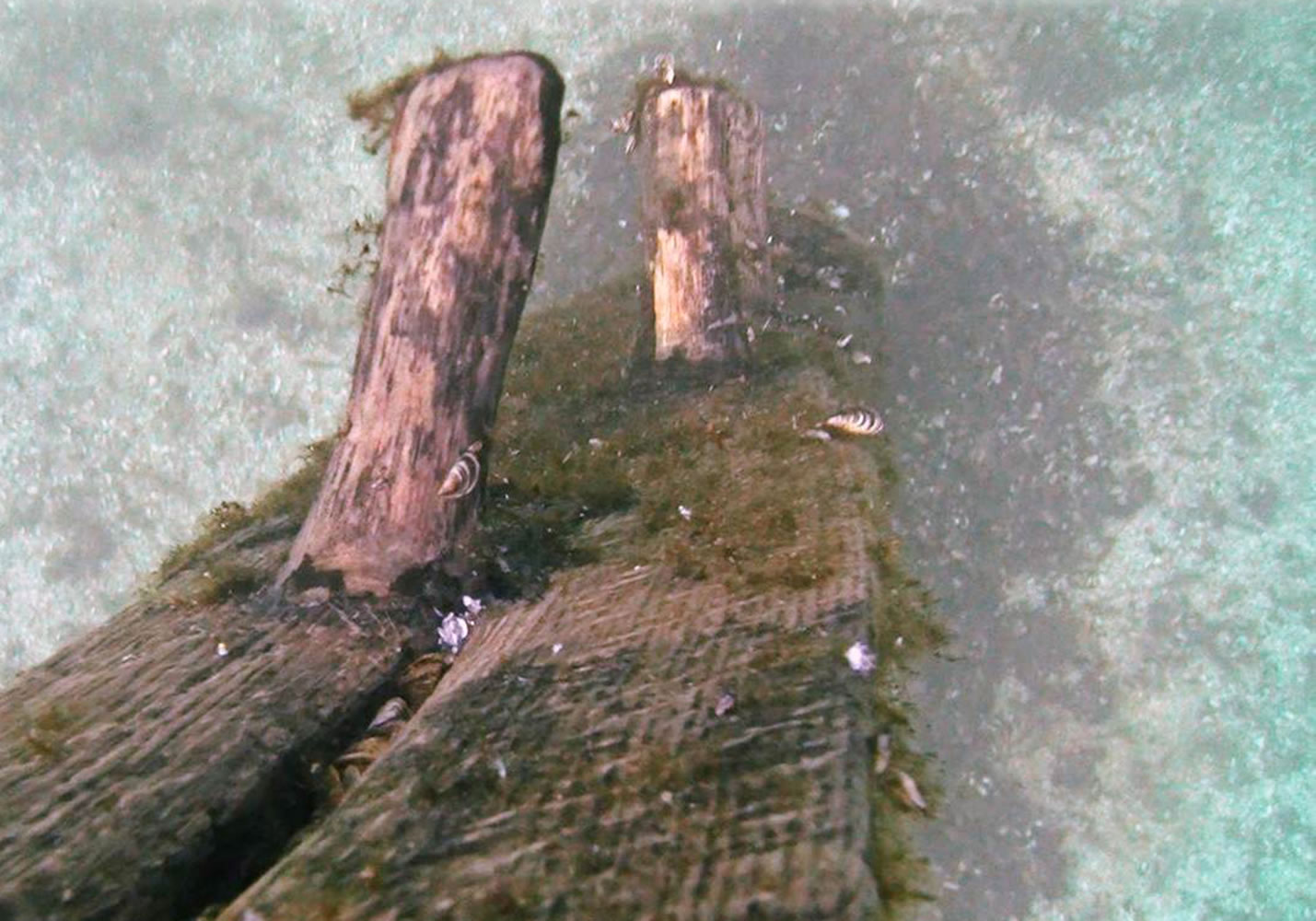Timbers protrude from the bottom of Lake Michigan that were discovered by Steve Libert, head of Great Lakes Exploration Group, in 2001.