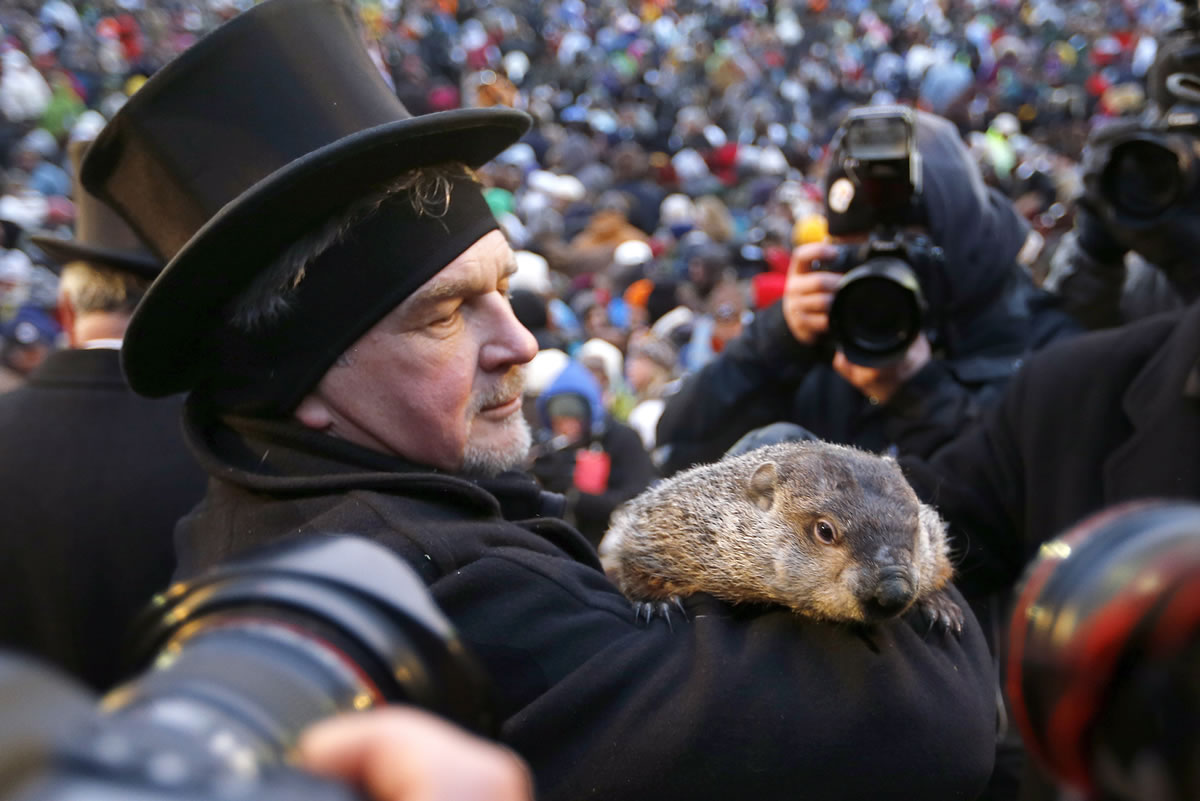 Groundhog Club Co-handler John Griffiths holds the weather predicting groundhog, Punxsutawney Phil, on Saturday as he is surrounded by photographers after the club said Phil did not see his shadow and there will be an early spring on Groundhog Day in Punxsutawney, Pa.