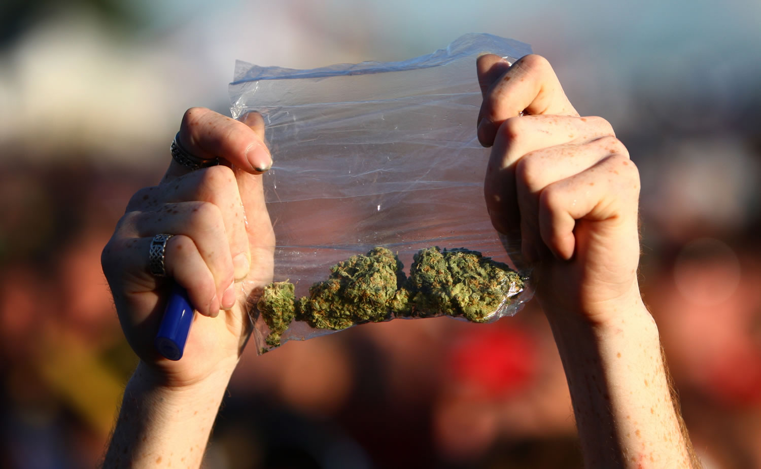 A participant holds up a bag of marijuana during the first day of Hempfest in 2011.