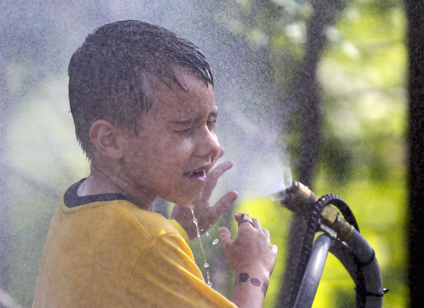 Six-year-old Alexander Merrill of Sioux Falls, S.D., cools off in a cloud of mist at the Henry Doorly Zoo in Omaha, Neb., as temperatures reached triple digits in June.