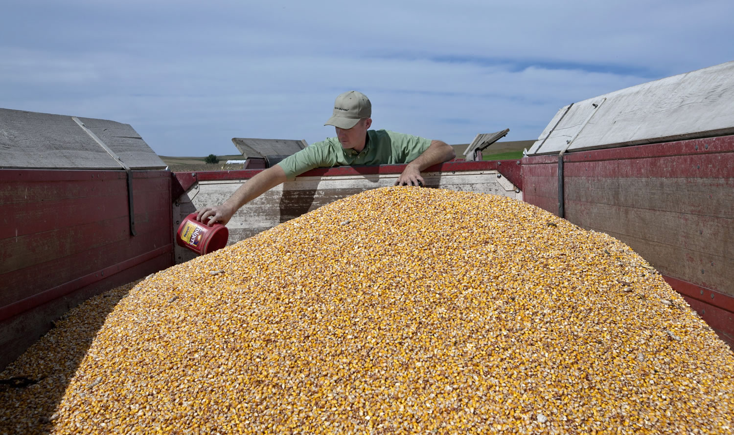 Farmer Randy Dreher scoops a sample of corn in September at his farm north of Audubon, Iowa.