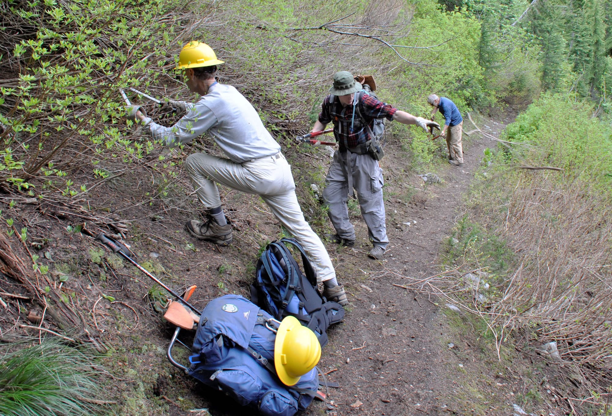 Volunteers clear brush from the trail to Stevens Lakes on the Coeur d'Alene National Forest during a outing organized by the Spokane Mountaineers.