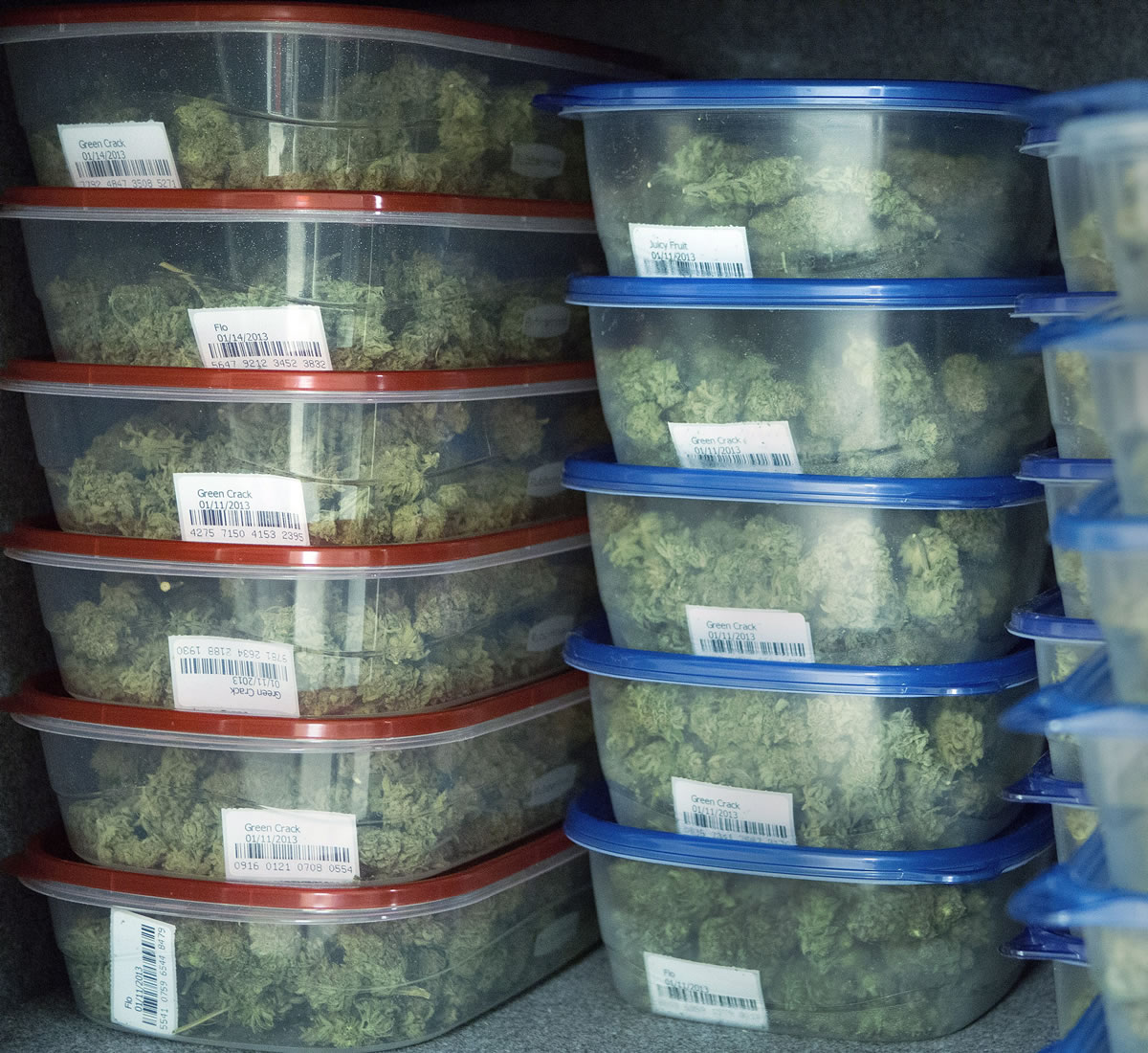 A bar code follows each marijuana plant through the growing and distribution process at a Denver grow house.