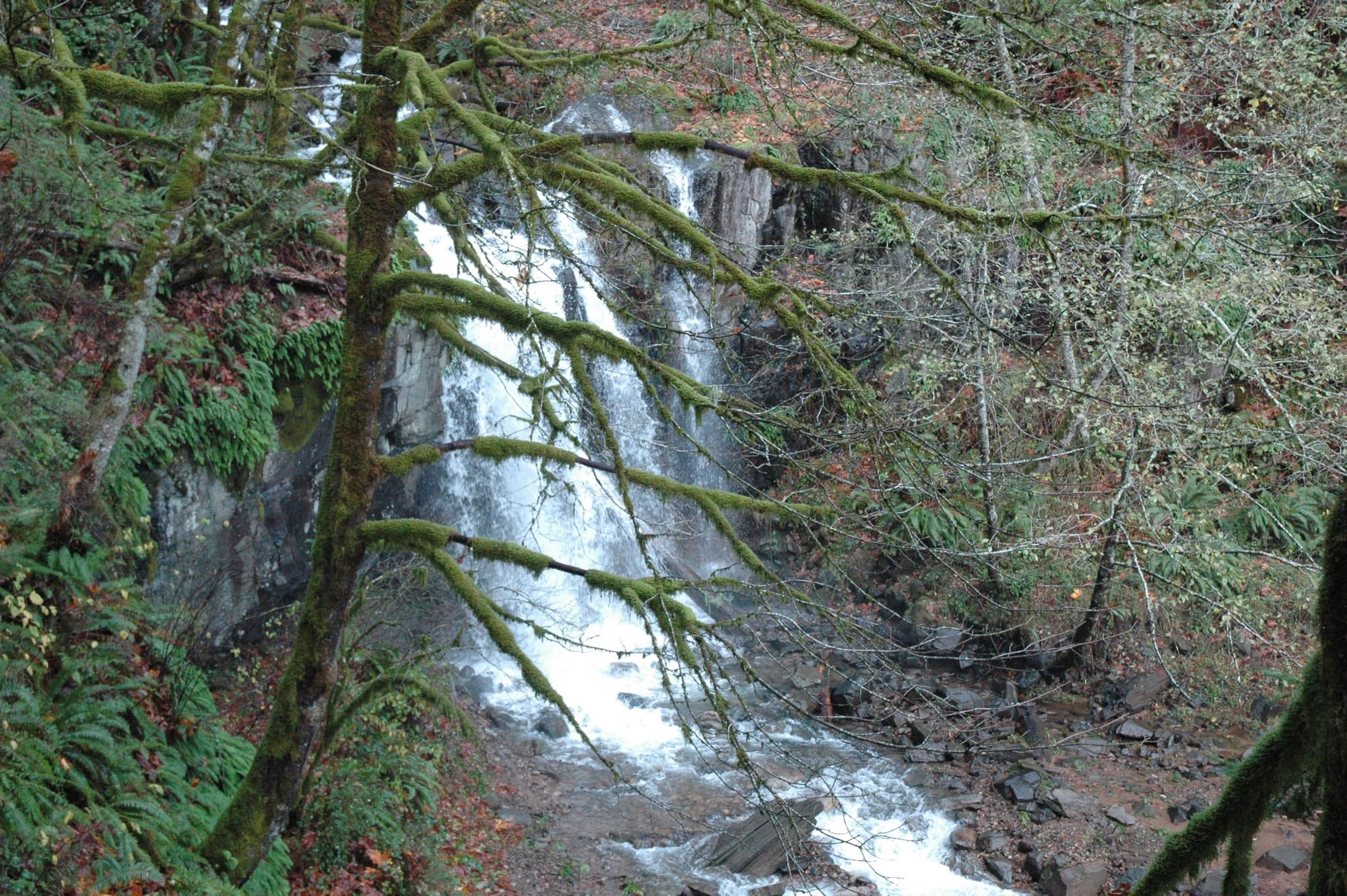 It is less than a half-mile walk to Marble Creek Falls, just upstream from Merwin Reservoir.