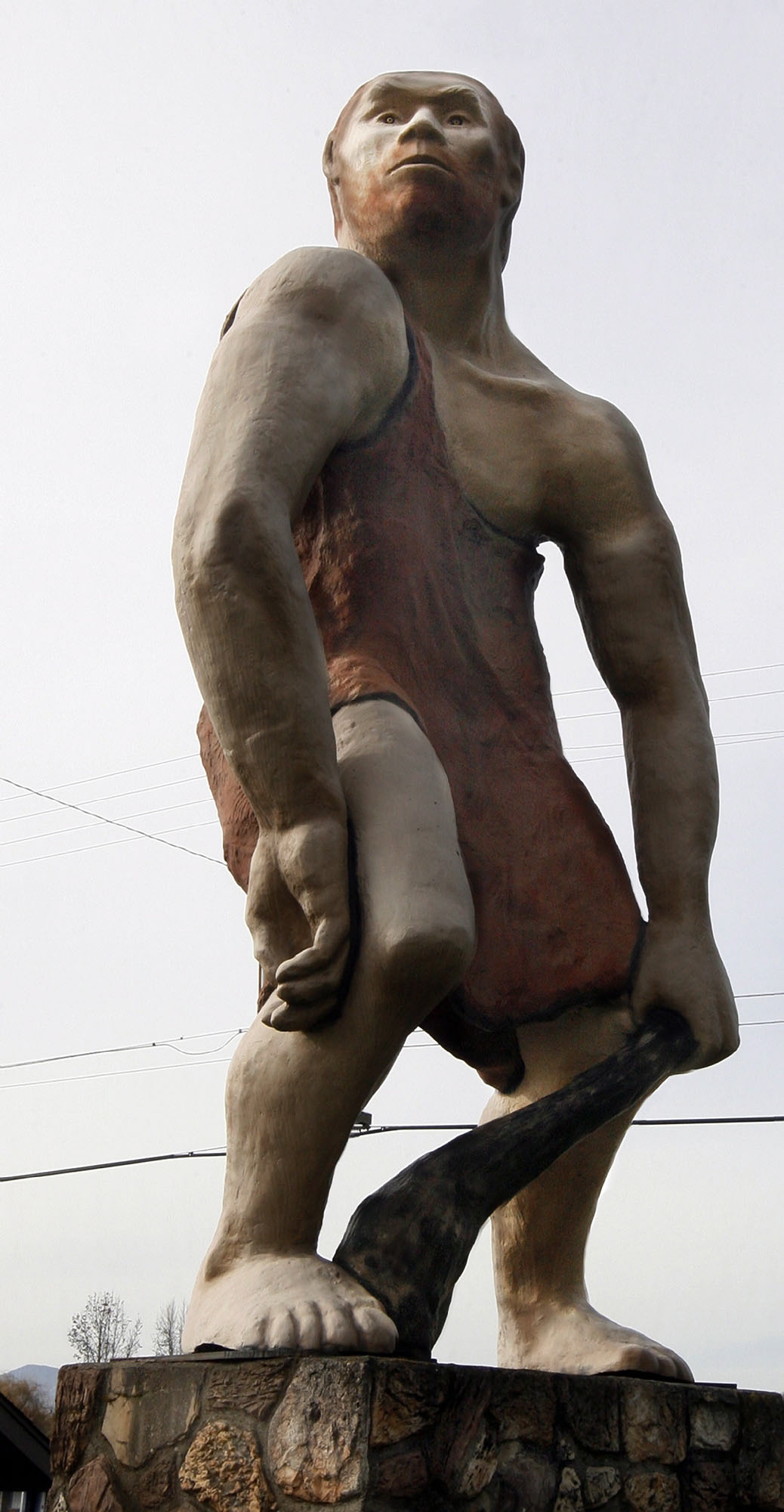 A 25-foot tall statue of a caveman that for 42 years has been standing at the north end of Grants Pass, Ore.