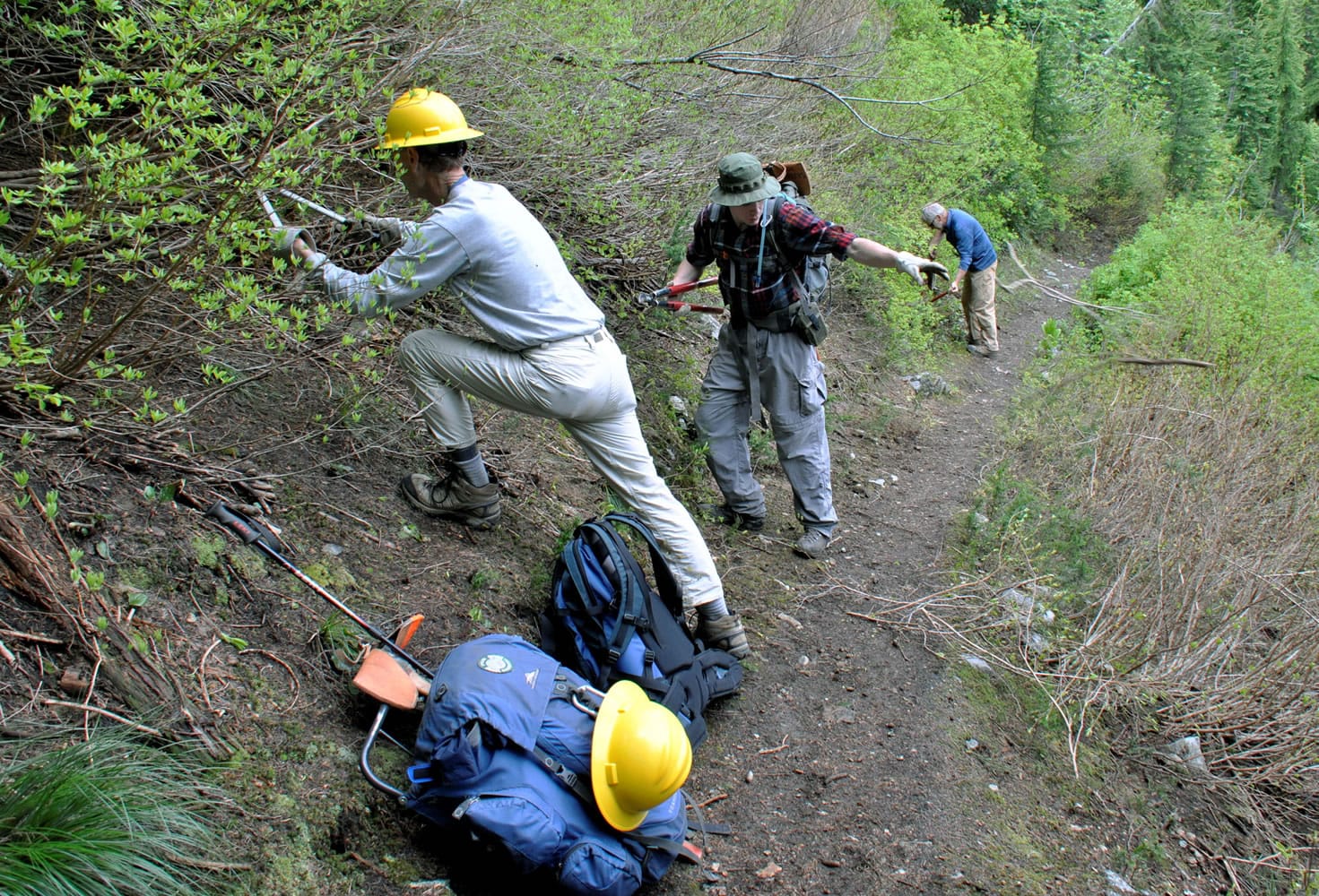Andrew Ashmore, Tyler Nyman and Lynn Smith clear brush off the trail to Stevens Lakes near Lookout Pass, in Idaho, in June 2013 during the Spokane Mountaineers&#039; annual outing for trail maintenance and litter pickup.