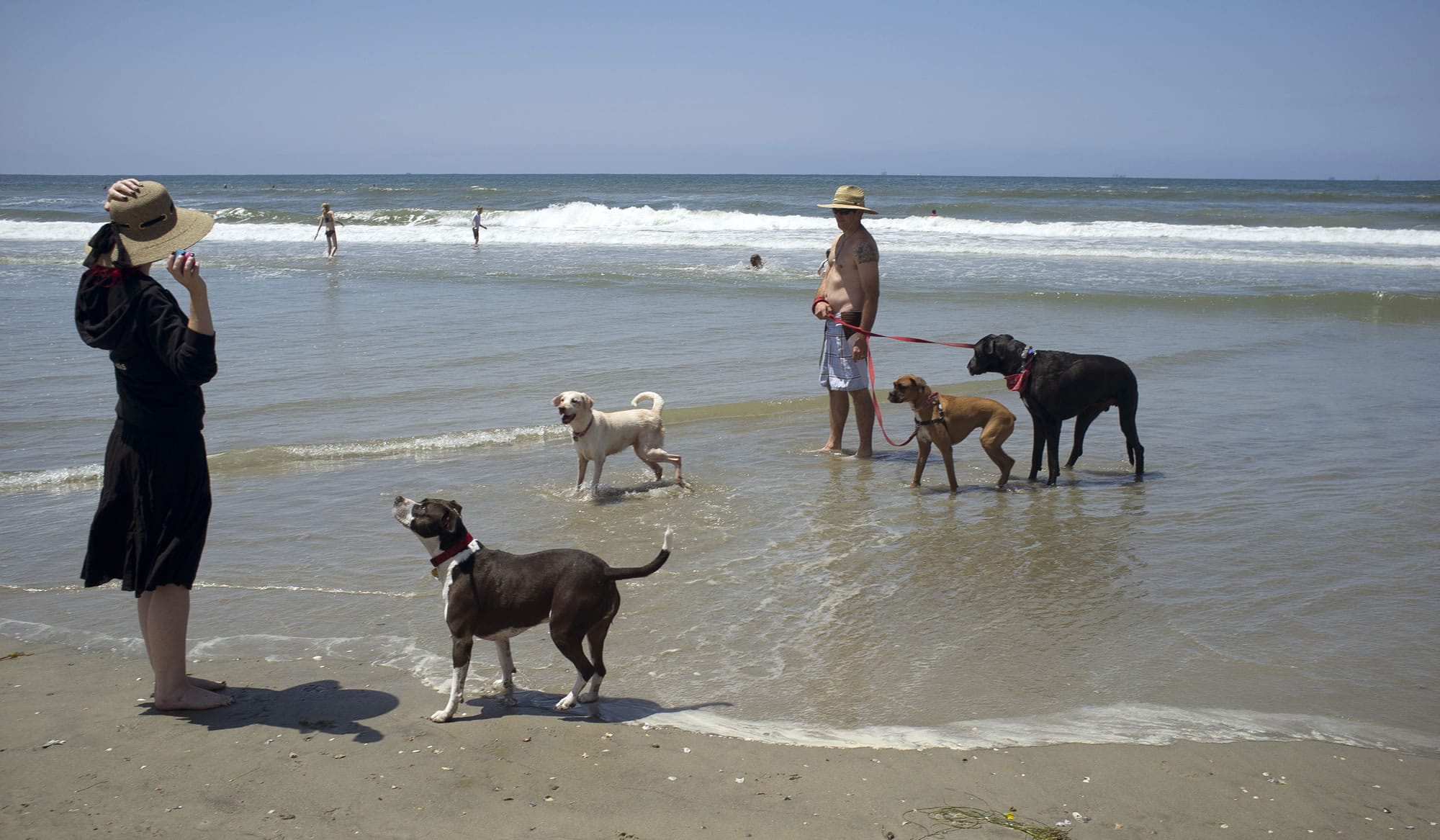 Dogs and their owners play in May at the Huntington Dog Beach in Huntington Beach, Calif., also known as Surf City USA.