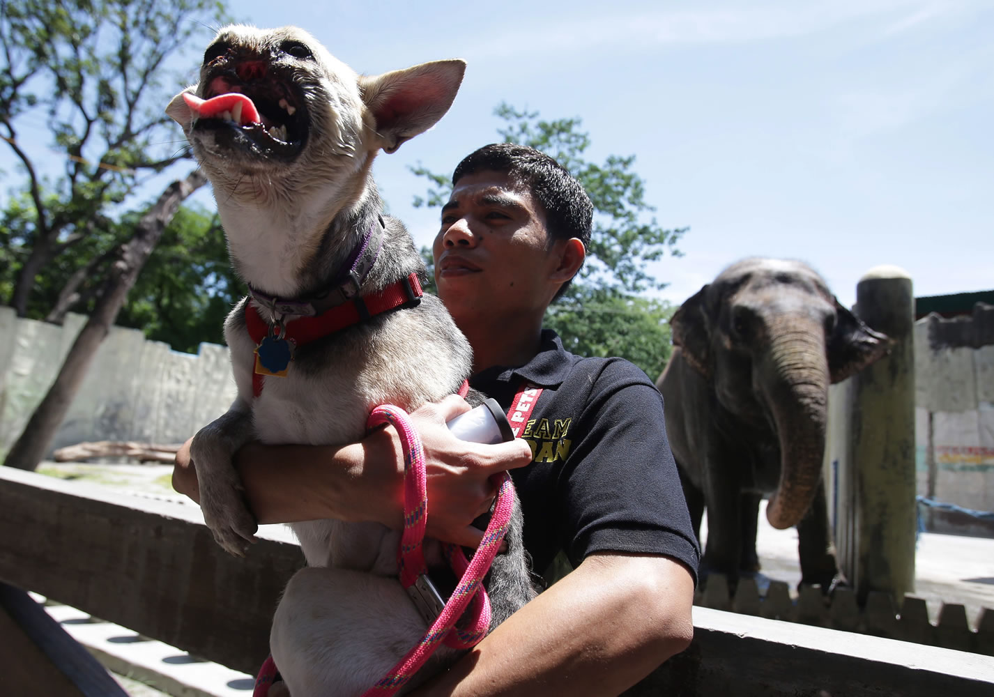 Kabang, a 2-year-old mixed breed, is held outside the quarters of an elephant named Mali during a visit at Manila's Zoo in the Philippines on Sunday.