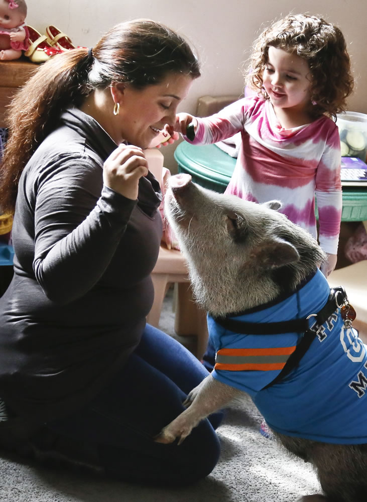 Danielle Forgione, left, and her daughter Olivia, 3, play with Petey, the family's pet pig, March 21 in the Queens borough of New York.