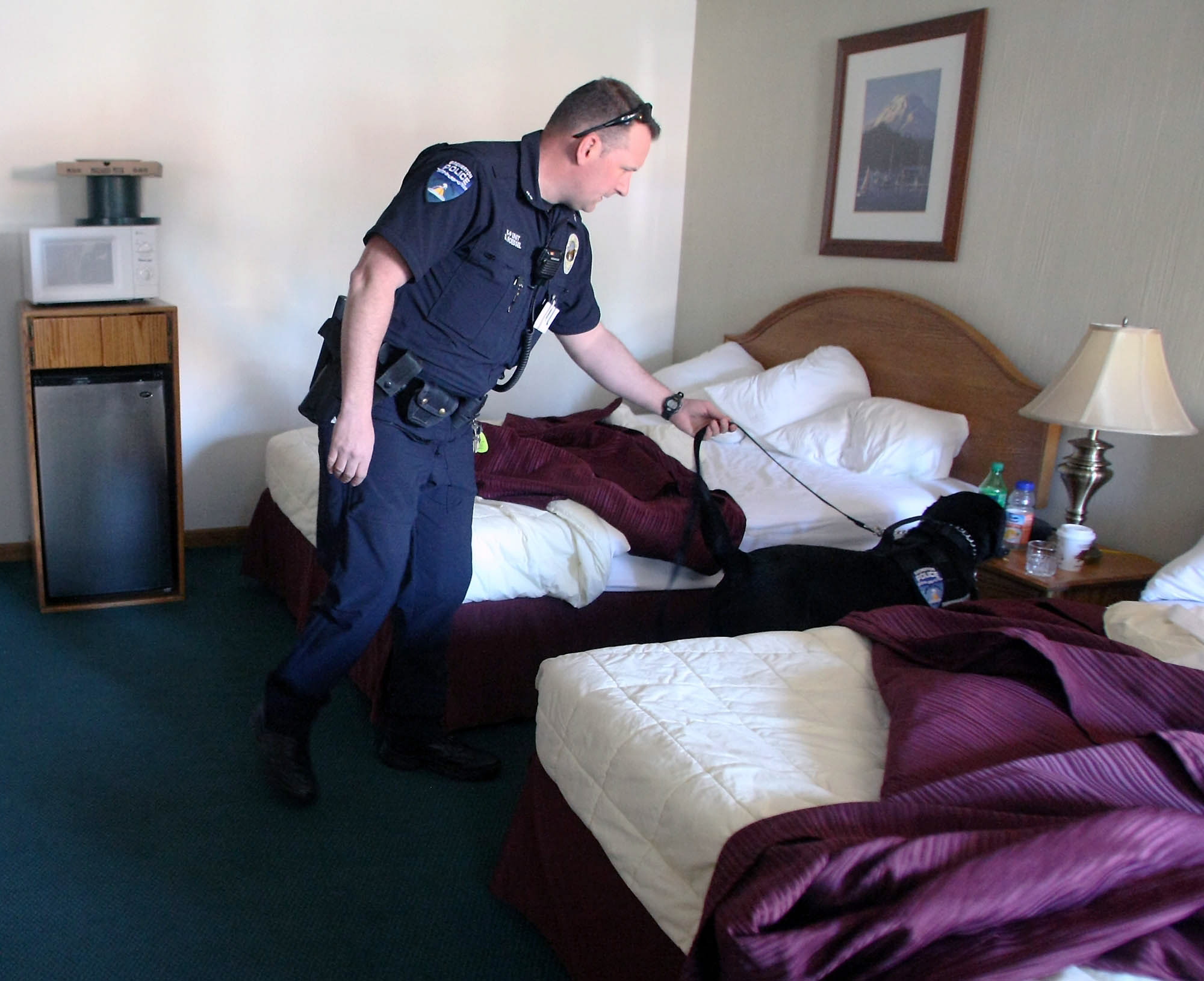 Bremerton Police Officer Duke Roessel and his dog Dusty search a room at the Quality Inn in Bremerton during a training exercise.