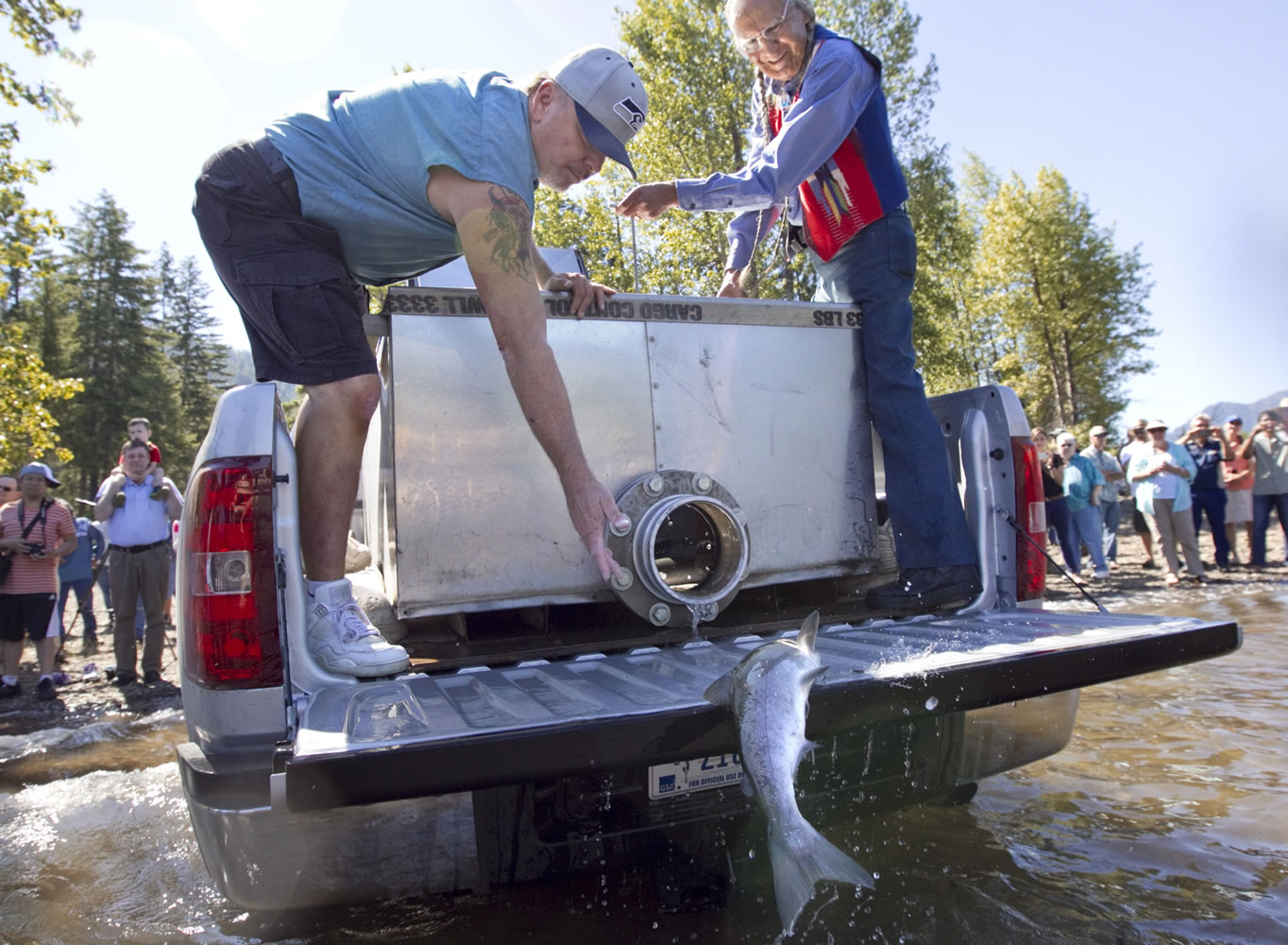 Joe Hoptowit coaxes one last sockeye salmon into Lake Cle Elum from a tank transport truck Wednesday near Ronald, Wash.