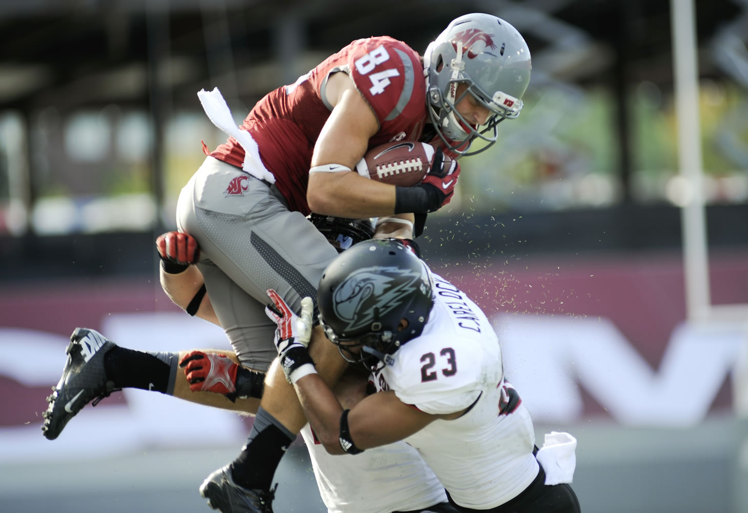 Washington State's River Cracraft is forced out of bounds by Southern Utah's Myles Carelock (23) and Matt Holley (7) during the first half Saturday.
