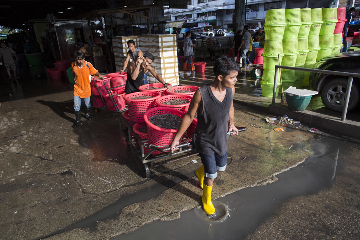 In this Wednesday, Sept. 30, 2015 photo, workers transport baskets filled with shrimp at a seafood market in Mahachai, Thailand. Thailand sends nearly half of its supply of shrimp to the U.S.