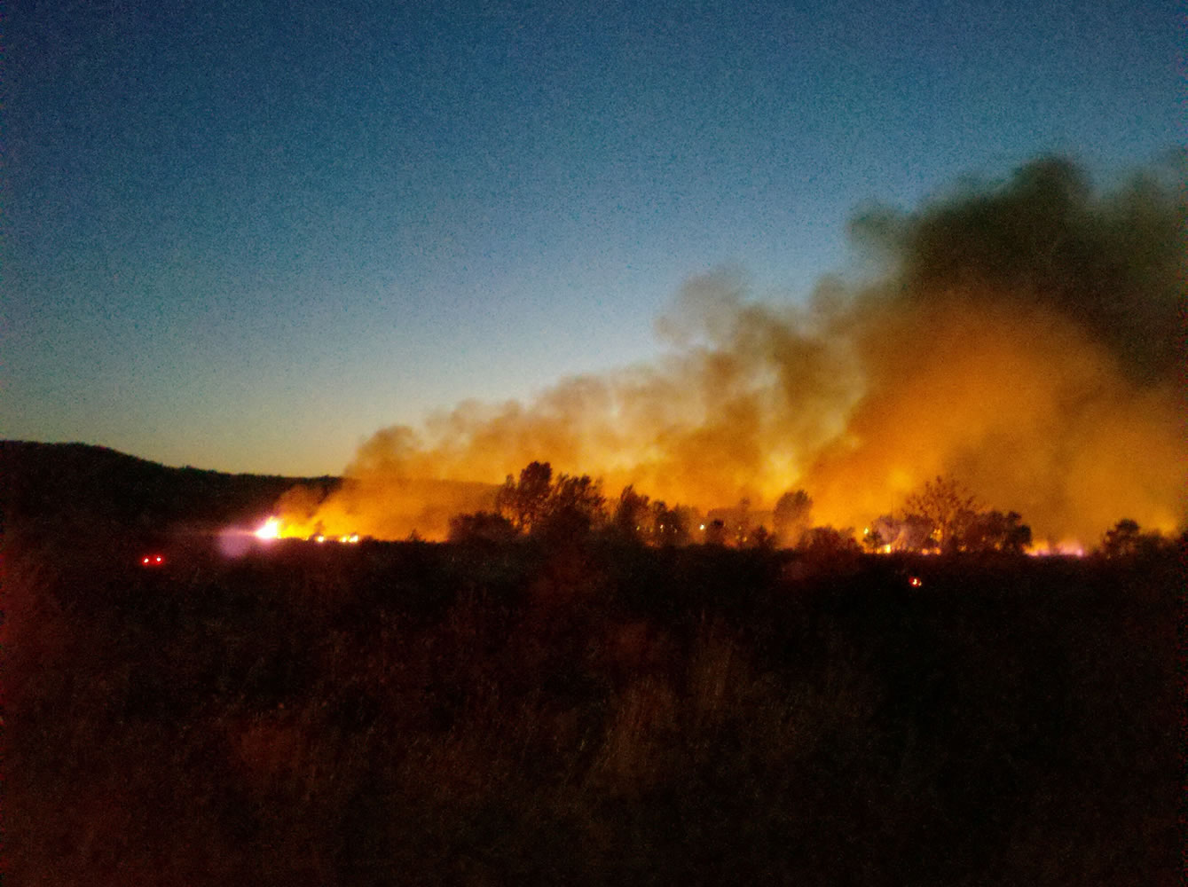 A fire in the vicinity of the Steigerwald National Wildlife Refuge consumed more than 40 acres Friday night. The cause of the fire was a discarded cigarette butt.
