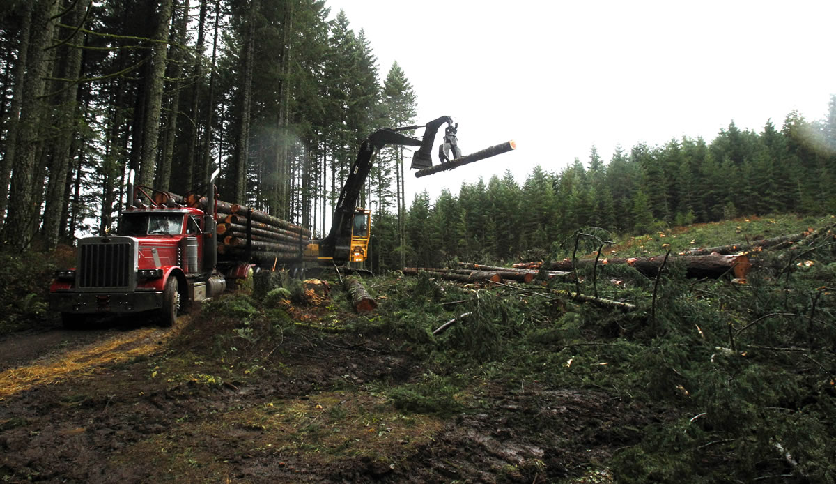 Logs are loaded on a truck in the forest near Banks, Ore., on Friday. The U.S.