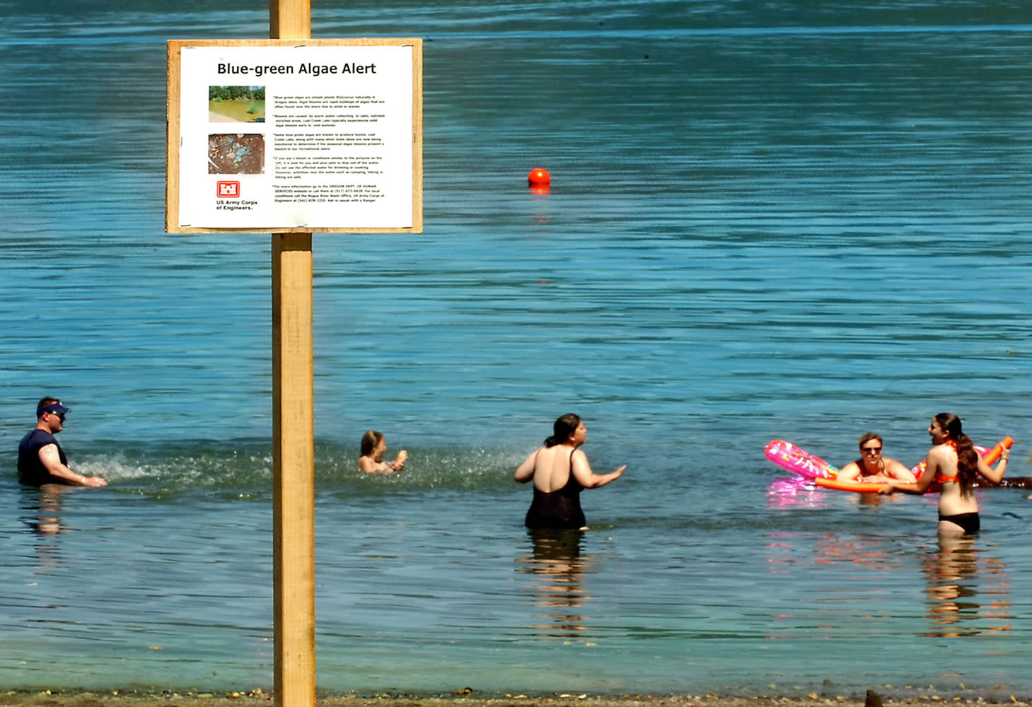 People swim in Lost Creek Lake near Shady Cove, Ore., despite a sign warning of a threat to their health from toxic algae in the water.