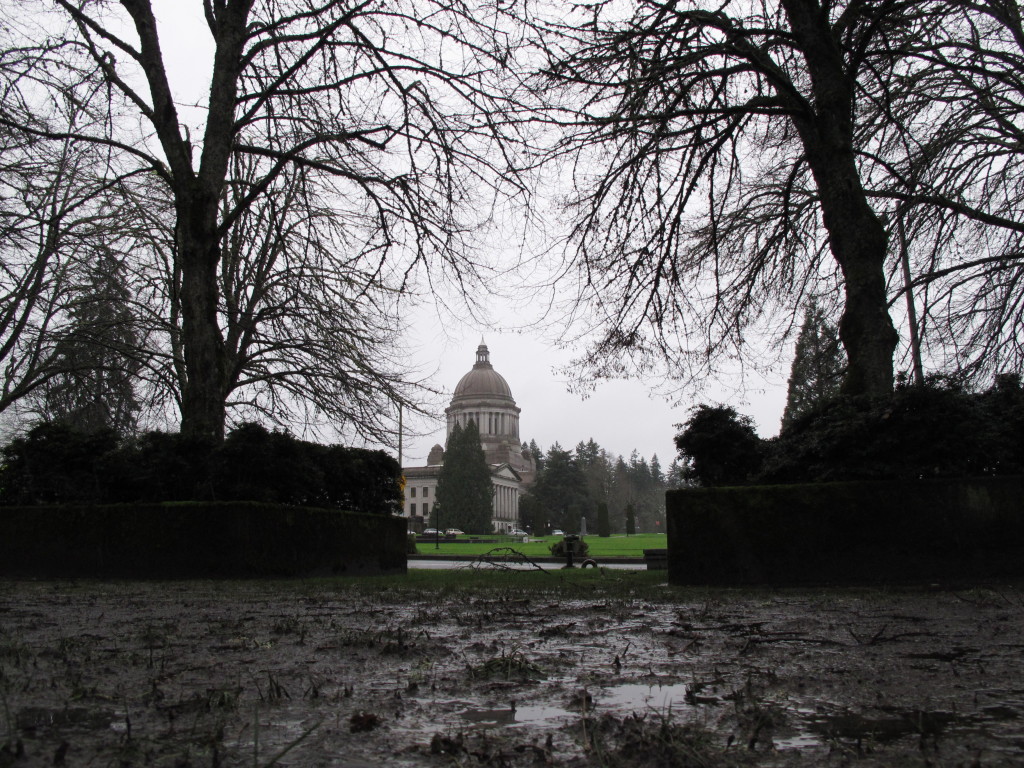 The Washington state Capitol dome shows through the trees from a location directly above the mostly underground state archives building in Olympia, which was build in the 1960s to double as a nuclear fallout shelter.