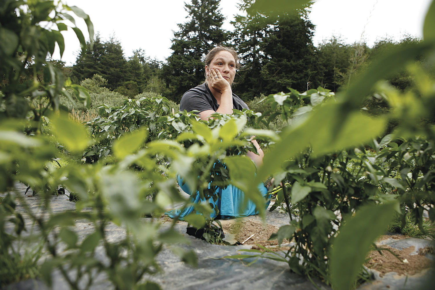 Sarah Crawford pauses while discussing the potential consequences to the Flicker Community Garden if the Coquille Valley, near Coquille, Ore., wetland restoration project moves forward.